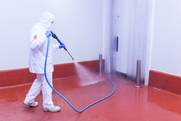 Best Building Exterior Washing  in Fruitland Park, FL