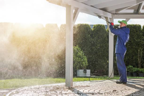 Animal Enclosure Cleaning in Fruitland Park, FL