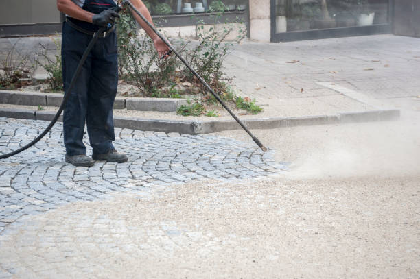 Best Fence Cleaning  in Fruitland Park, FL