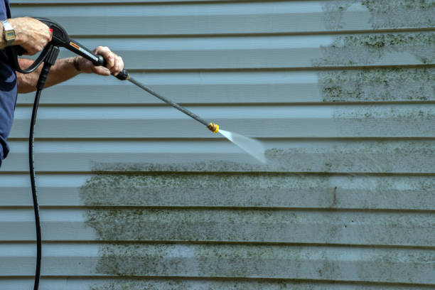 Best Dumpster Area Cleaning  in Fruitland Park, FL